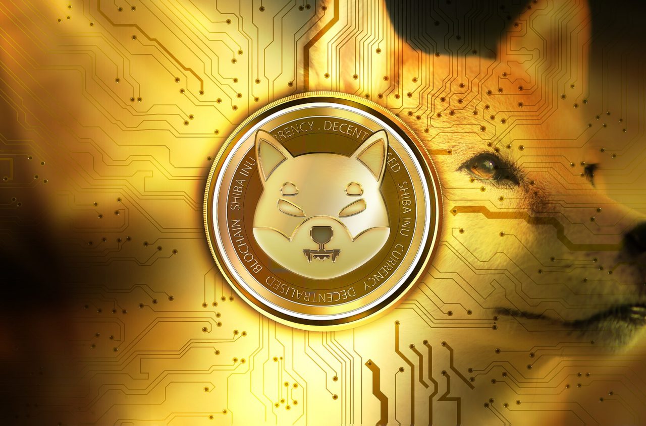 Tct Inu Coin November, 2021 | OwnMeta News