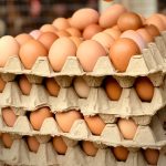 egg prices