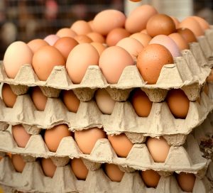 egg prices