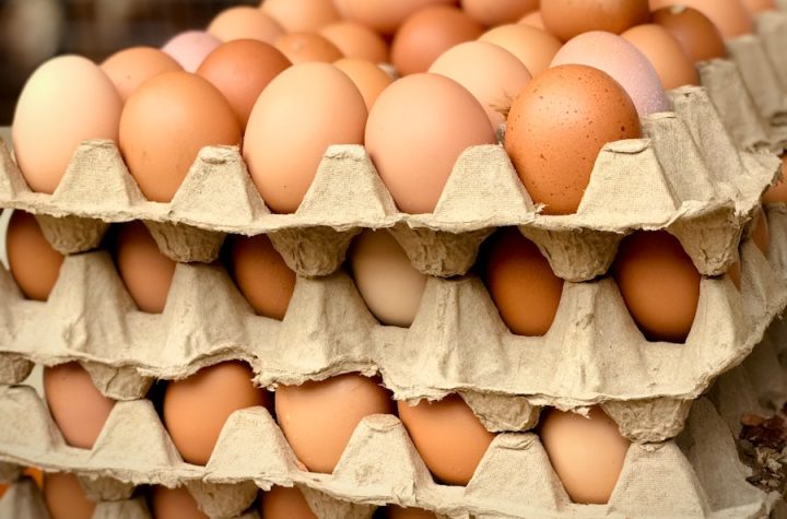 egg prices