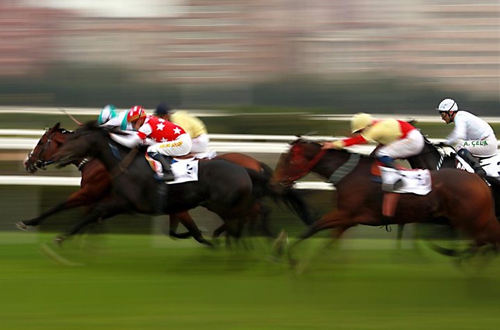 preakness stakes 2025